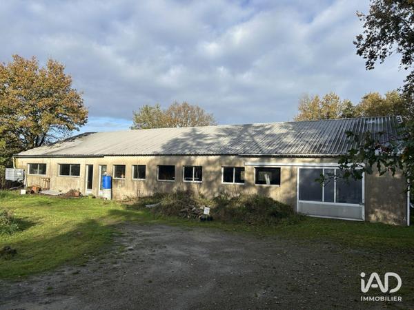 Local d’activité à vendre 400 m² Mauves-sur-Loire