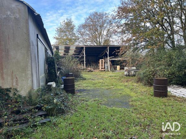 Local d’activité à vendre 400 m² Mauves-sur-Loire