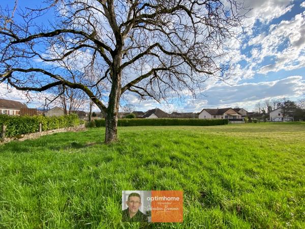 Cramans – Beau terrain constructible de 970 m² dans un environnement calme et verdoyant