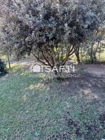 Belle Villa Provençale avec piscine et maison d'amis