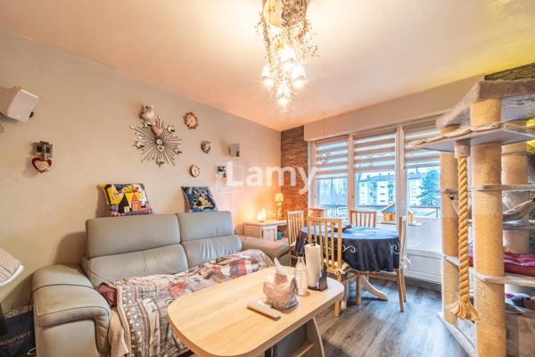 T3 + garage parc du château