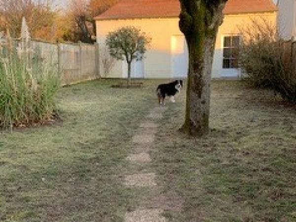 Location Maison avec jardin 4 pièces Étréchy (91580) - Bas de Vaucelas