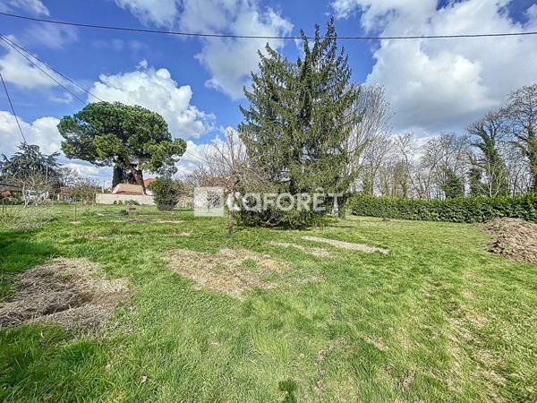 Achat terrain Castelsarrasin - 630 m² - 55 000 €