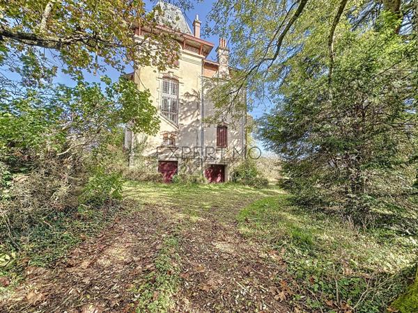 Tournus (71700) TOURNUS : Château + Maison et granges sur 1,6 hectare avec vue panoramique sur la Saône.