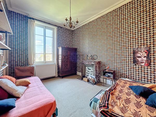 Tournus (71700) TOURNUS : Château + Maison et granges sur 1,6 hectare avec vue panoramique sur la Saône.