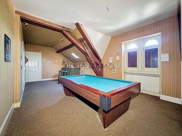 Tournus (71700) TOURNUS : Château + Maison et granges sur 1,6 hectare avec vue panoramique sur la Saône.