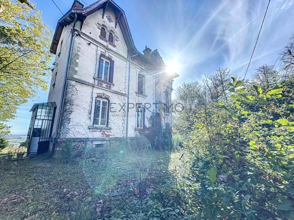 Tournus (71700) TOURNUS : Château + Maison et granges sur 1,6 hectare avec vue panoramique sur la Saône.
