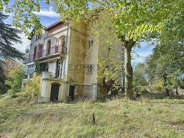 Tournus (71700) TOURNUS : Château + Maison et granges sur 1,6 hectare avec vue panoramique sur la Saône.