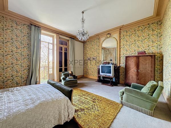 Tournus (71700) TOURNUS : Château + Maison et granges sur 1,6 hectare avec vue panoramique sur la Saône.