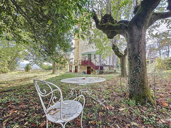 Tournus (71700) TOURNUS : Château + Maison et granges sur 1,6 hectare avec vue panoramique sur la Saône.