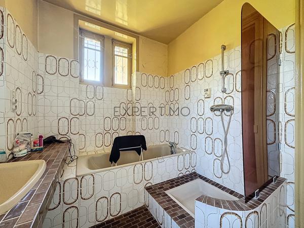 Tournus (71700) TOURNUS : Château + Maison et granges sur 1,6 hectare avec vue panoramique sur la Saône.