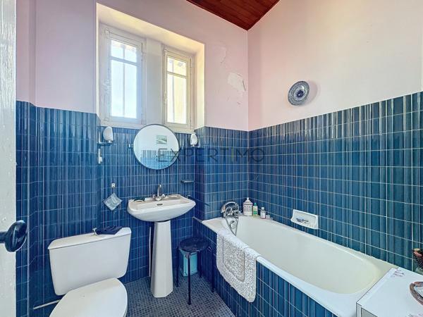 Tournus (71700) TOURNUS : Château + Maison et granges sur 1,6 hectare avec vue panoramique sur la Saône.