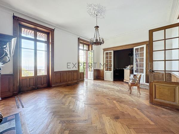 Tournus (71700) TOURNUS : Château + Maison et granges sur 1,6 hectare avec vue panoramique sur la Saône.