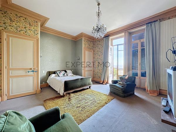 Tournus (71700) TOURNUS : Château + Maison et granges sur 1,6 hectare avec vue panoramique sur la Saône.