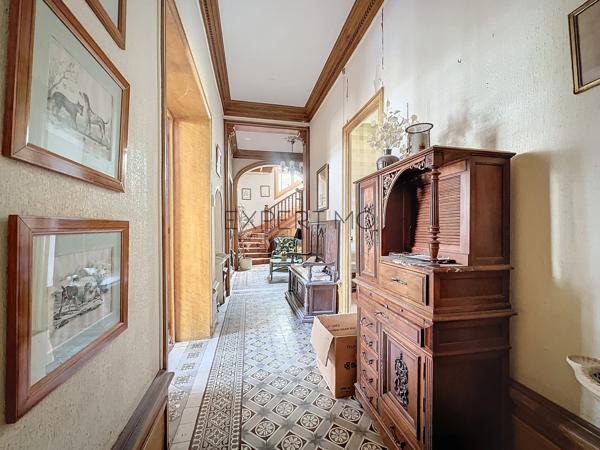 Tournus (71700) TOURNUS : Château + Maison et granges sur 1,6 hectare avec vue panoramique sur la Saône.