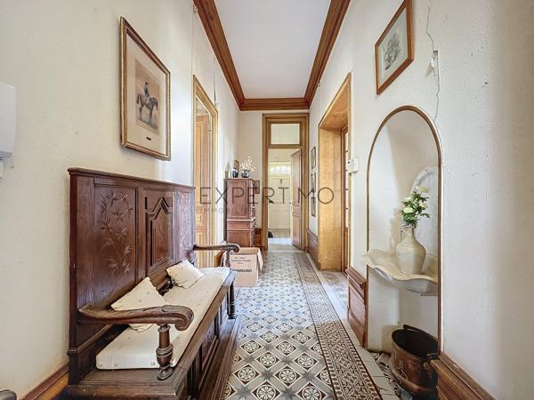 Tournus (71700) TOURNUS : Château + Maison et granges sur 1,6 hectare avec vue panoramique sur la Saône.