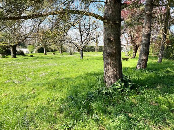 Jolie maison - 205m2 habitables