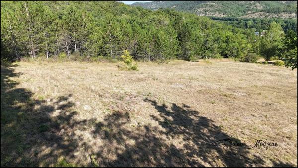 Terrain constructible 2700 m² Viabilisé, borné, étude de sol disponible