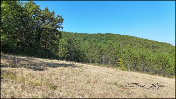 Terrain constructible 2700 m² Viabilisé, borné, étude de sol disponible