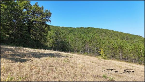 Terrain constructible 2700 m² Viabilisé, borné, étude de sol disponible