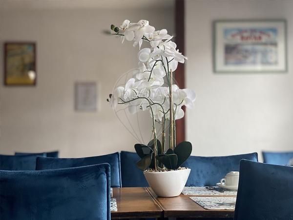 Commerce T16 en vente - Charente-Maritime - 17