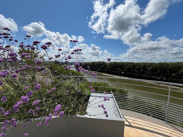 Appartement T5 dernier étage avec terrasse de 71m² centre ville ANGERS DISPONIBLE DE SUITE