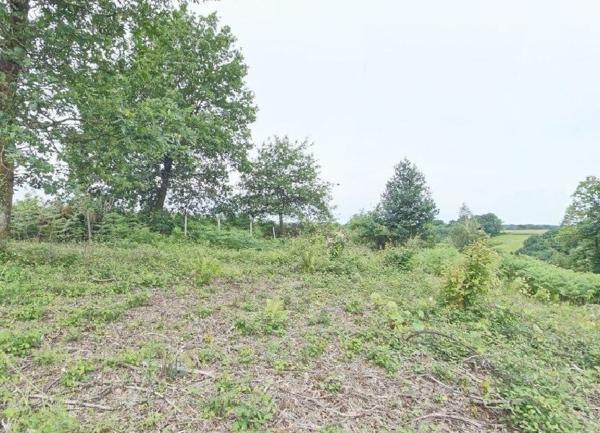 Terrain à vendre    Orthez