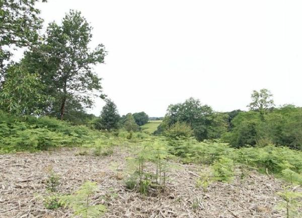 Terrain à vendre    Orthez