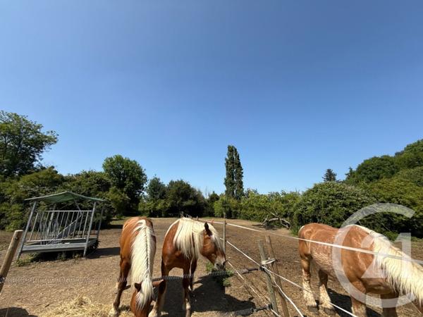 Maison à vendre  1 pièce - 328 m2 BU - 28