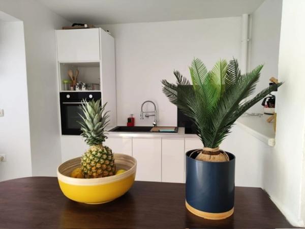 Appartement à louer 3 pièces LES TROIS ILETS (972)