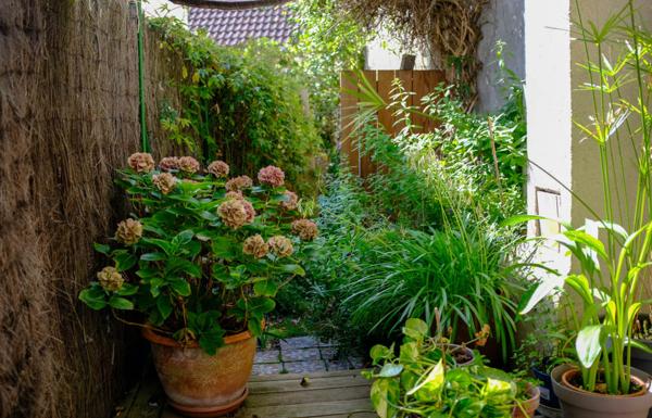 Tours (37000) EXLUSIVITE : Charmante maison au cœur du quartier prisé des Prébendes