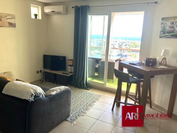 A LOUER F2 MEUBLÉ AVEC VUE MER - BELLEPIERRE