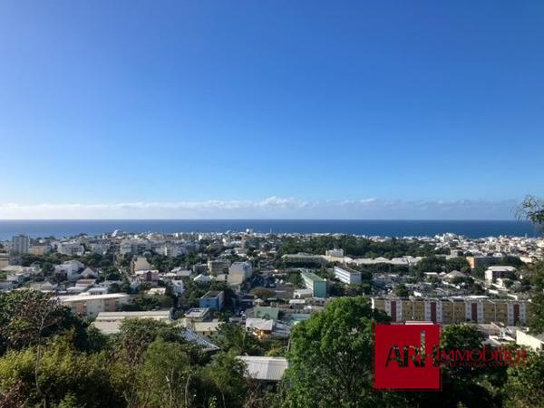 A LOUER F2 MEUBLÉ AVEC VUE MER - BELLEPIERRE