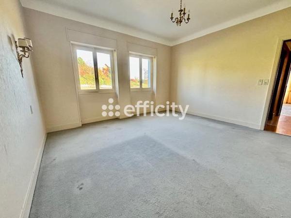 Appartement 10 pièces - 330 m² Exclusivité efficity