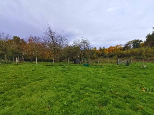 Maison en pierre avec dépendances et terrain à Darnac