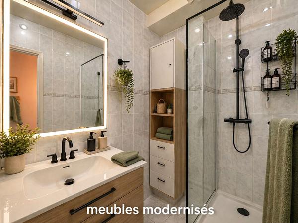 Appartement Charenton Le Pont 3 pièce(s) 54.54 m2 + cave