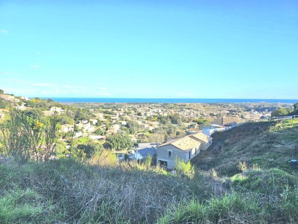 Terrain vue mer de 1407 m2 à FOLELLI, Penta di Casinca (HAUTE CORSE)