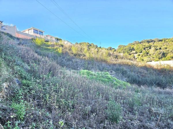 Terrain vue mer de 1407 m2 à FOLELLI, Penta di Casinca (HAUTE CORSE)