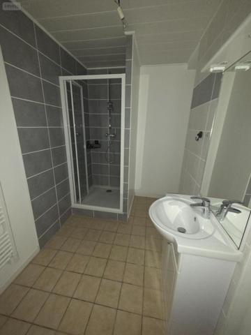 Appartement rénové à louer à Louhans en Saône-et-Loire (71500), ref : GERANCE CHAPELLERIE