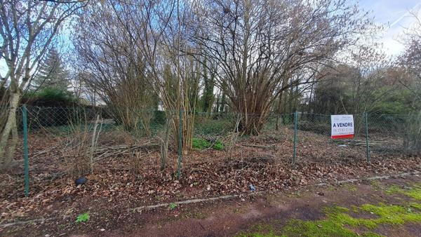 Terrain constructible non viabilisé 560 ou 917 m² près de Montargis. 38 000 €