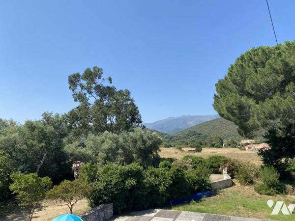 20232 OLETTA - MAISON 209 M² AVEC PISCINE