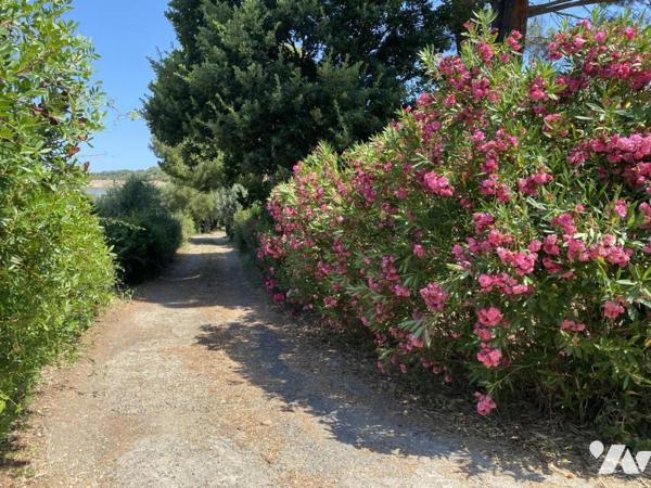 20232 OLETTA - MAISON 209 M² AVEC PISCINE