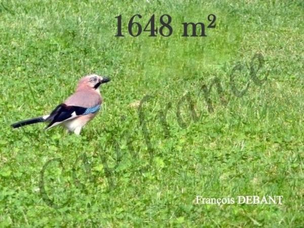 Terrain à vendre JUNIVILLE (08)