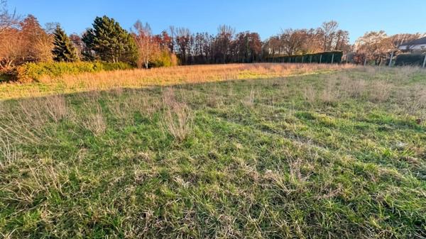 Terrain à vendre JUNIVILLE (08)