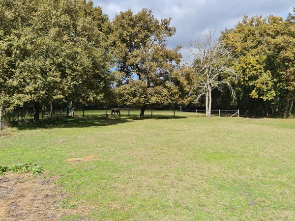 Maison Luxey 8 pièce(s) 220 m2