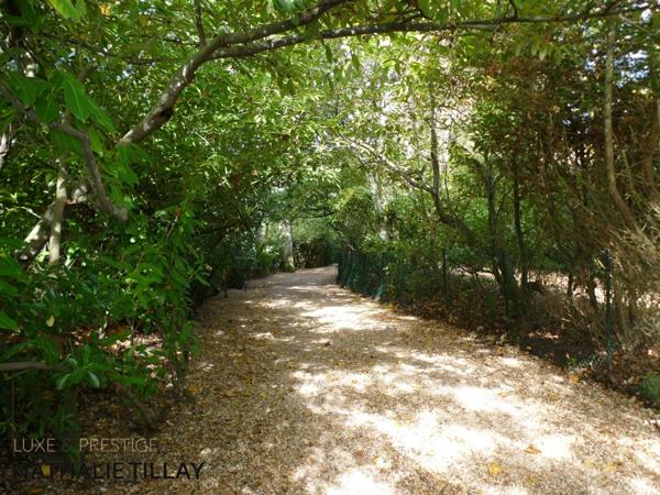 OLIVET bord du Loiret, maison de Maître à vendre 418 m² habitables , parc arboré et paysagé de 4337 M²