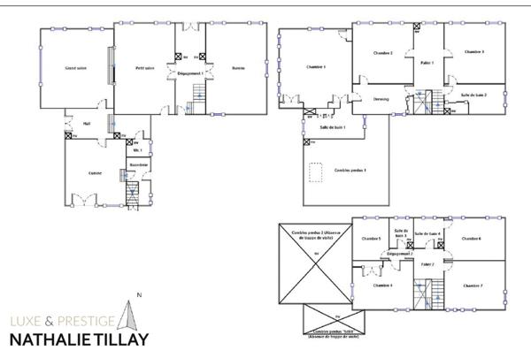 OLIVET bord du Loiret, maison de Maître à vendre 418 m² habitables , parc arboré et paysagé de 4337 M²