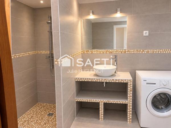 Appartement entièrement rénove en centre ville