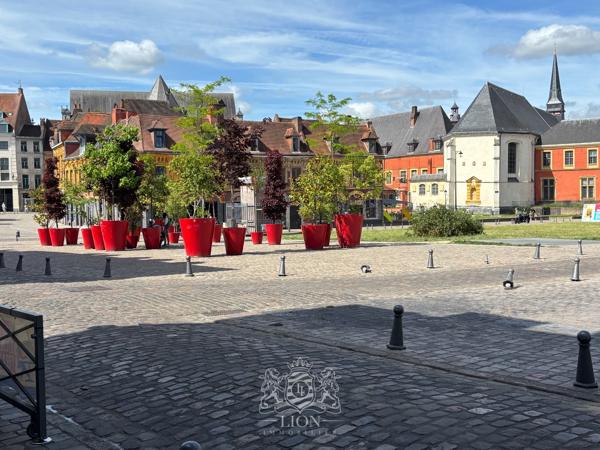 Vieux Lille, type 3 dernier étage