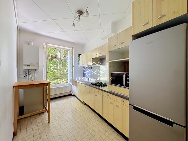 T3 de 73m2 + cave (secteur Burdeau/jardin des plantes)